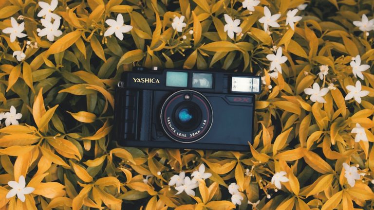 The Art of DIY Photography: Unleashing Creativity on a Budget